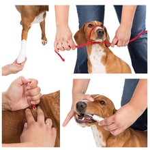 Učitajte sliku u preglednik galerije, Set za prvu pomoć za ljubimce