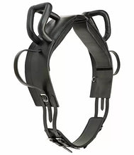 Učitajte sliku u preglednik galerije, Volti by STEEDS kolan za voltižiranje Master