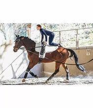 Učitajte sliku u preglednik galerije, Volti by STEEDS kolan za voltižiranje Master